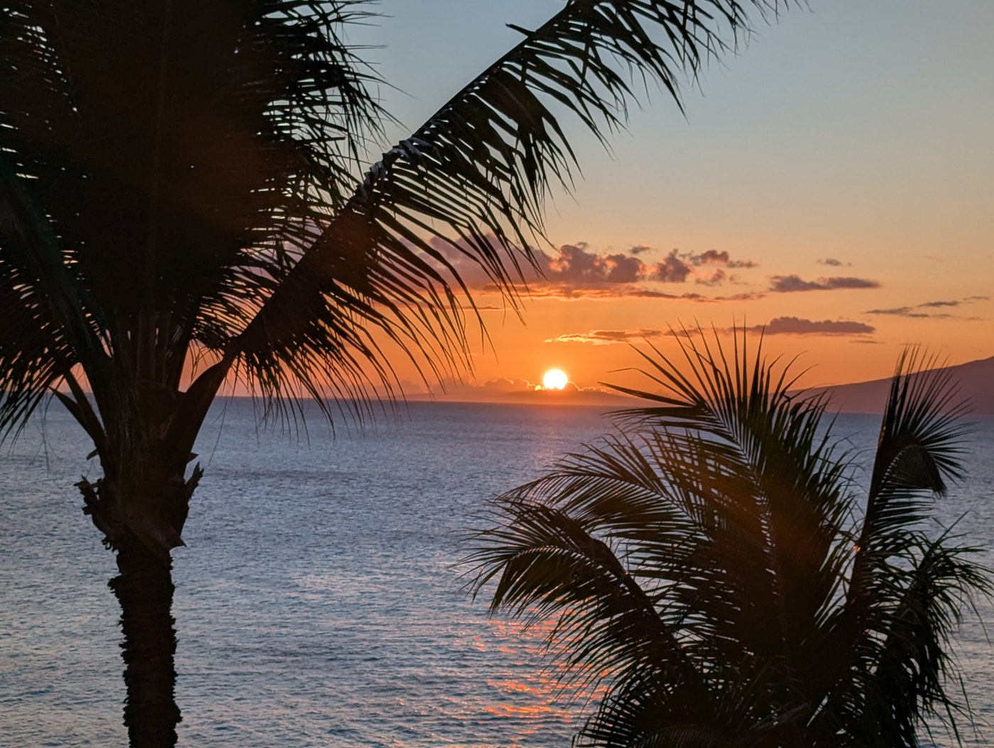 Sunset over the sea framed by palm fronds